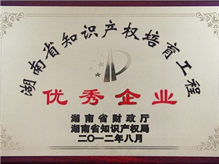 outstanding enterprises in hunan ipr cultivation project